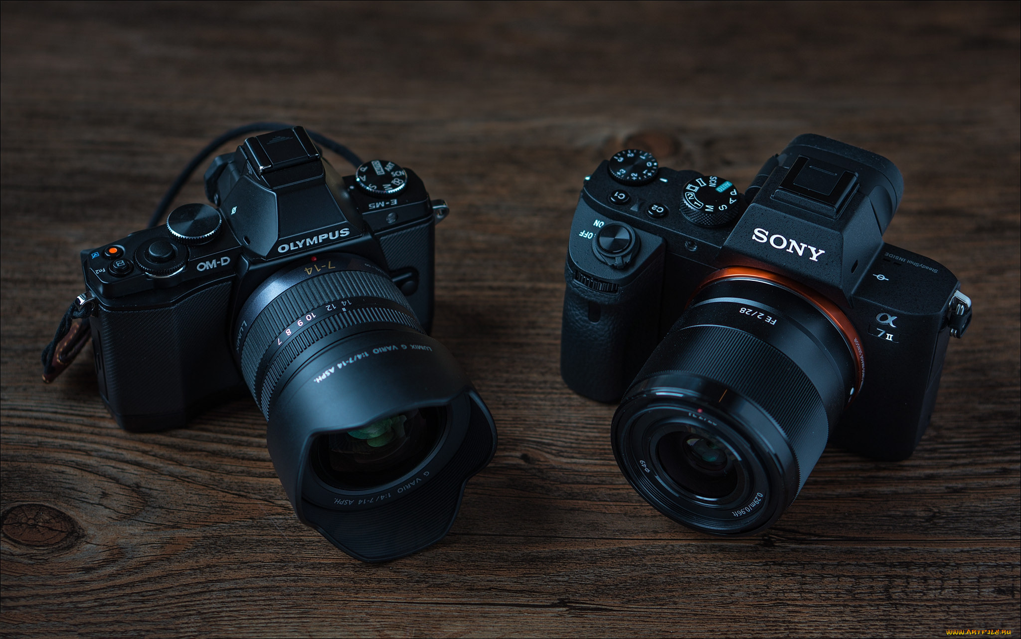 Sony a7000